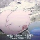 임청예 이미지
