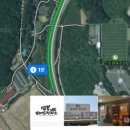 댄싱도그 이미지