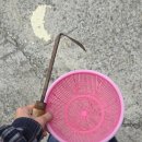 남도컨테이너 | 겨울 남해 갯벌체험 | 통영 궁항어촌체험마을