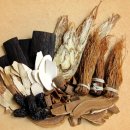 대한흑염소 이미지