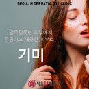 서울에이치피부과의원 네이버블로그