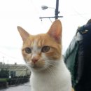 미미네민박 이미지