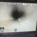 덕산식당덕산약품