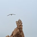 선녀바위-선착장 이미지