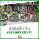 충남도립대학교 | 충남도립대학교 실용회화 원데이 클래스 참여 후기