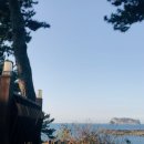 강정동-75 이미지