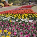 수원-0518 이미지