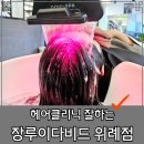 위례 미용실 헤어클리닉 잘하는 장루이다비드 추천