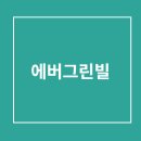 에버그린빌 티스토리