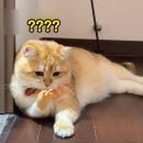 리빙러빙 | 문래동 소품샵 그릇가게 투어