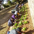 한울농장 2 이미지