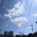 본동 | 부산 도심 속 공원 탐방(1. 부산시민공원)