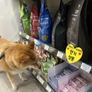 쌍암공원1 이미지