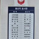 여수원조서대회 | [광주][농성동]여수원조서대회...서대회스페셜 5인 200,000원