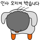 임실두루치기 이미지