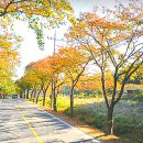 오어사부동산 이미지
