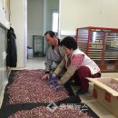 명품과일 이미지