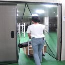 탄탄글라스 | 현관문 자석 모기장 벌레 차단 튼튼한 화이바글라스 방충망 설치 후기