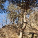 부연농장 이미지