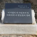 규암 이사명의 처 가림조씨 및 이희지의 처 연일정씨 정려 이미지