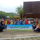 사랑나무유치원 이미지