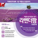 푸른아메리카투어 이미지
