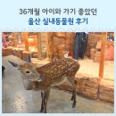 울산 근교 동물원 아기랑 갈만한곳 요즘 핫플 헬로우쥬 후기