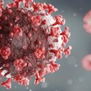 부춘초등학교 이미지