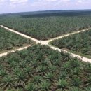 화장품종합마트 이미지