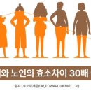 효소원