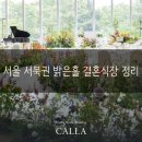터틀크레스트 | 파주 김포 사람들의 밝은홀 결혼식장 정하기 (마포,영등포,강서,중구,용산구 편)