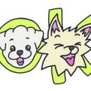 상암동청심연한의원 이미지