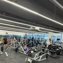 베네피트니스