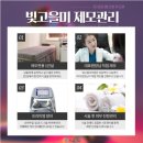 빛고을미의원 이미지