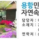 자연속풍경 용항민박 이미지