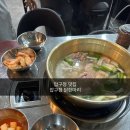 보굴 | 압구정 맛집ㅣ압구정 닭한마리 후기