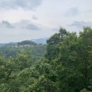 무주읍106 | [전북무주]향로산 자연 휴양림 모노레일 탑승후기 ~ 가기전에 꼭 알아야 할 점!!