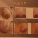 황금아쿠아 이미지