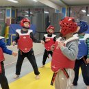 베스트세심태권도 이미지