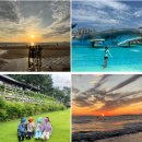 무창포막회 | 보령 가족여행 여름 1박2일 기록