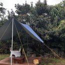 매일다방 | 제주 애월 디저트 카페 추천ㅣ 인생 카이막 만난 “소길다방” (with 귀여운 냥이들)