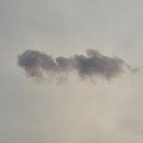 본가종로빈대떡