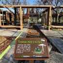 대전시, ‘샘머리 물순환 테마공원’ 빗물 순환 공원 재탄생 이미지