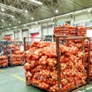 안동청과 이미지