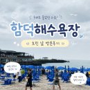 배스킨라빈스제주성산점 | 제주 <함덕해수욕장> 흐린날 방문 후기 [주차 / 샤워 정보]