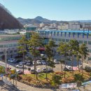 삼척시보건소 이미지