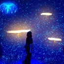 클라우드 포레스트, 플라워 돔), 점보 시푸드, 에메랄드 힐, 오차드 거리, 부기스 스트리트, 쥬얼 창이