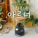 연덕로 | 창원 원데이클래스 아르너에서 테라리움 배운 후기