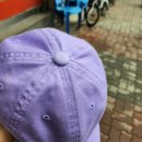 백양세탁 이미지