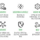 에스피애드 이미지